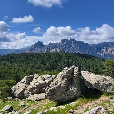 Les Rosiers - Eglantine Conca