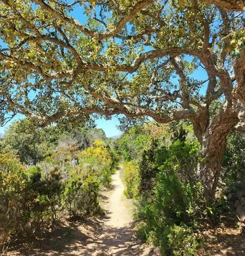 Les Rosiers - Eglantine Panzió Conca