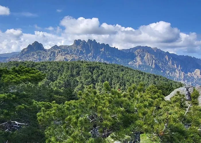 Les Rosiers - Eglantine * Conca