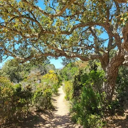 Les Rosiers - Eglantine Отель типа 