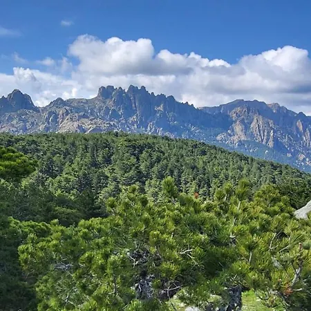 Les Rosiers - Eglantine * Конка