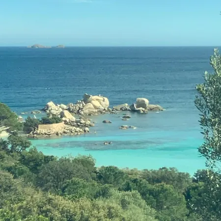 Les Rosiers - Eglantine