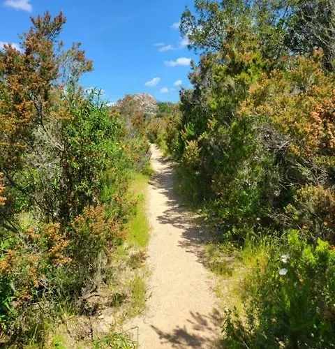 Les Rosiers - Eglantine Bed & Breakfast