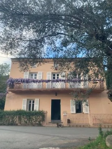 Couette-café - Les Rosiers - Corse - Eglantine *