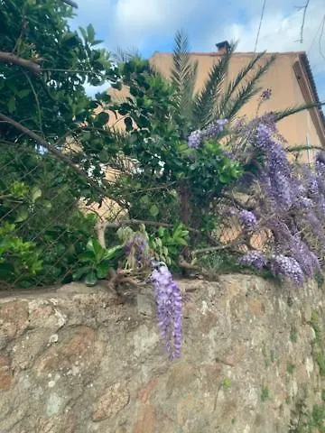 - Les Rosiers - Corse - Eglantine Couette-café Conca