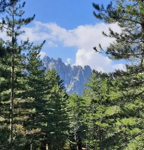 Bed & Breakfast Les Rosiers - Eglantine
