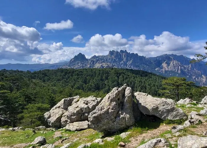 - Les Rosiers - Corse - Eglantine Conca