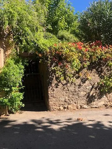 Couette-café - Les Rosiers - Corse - Eglantine
