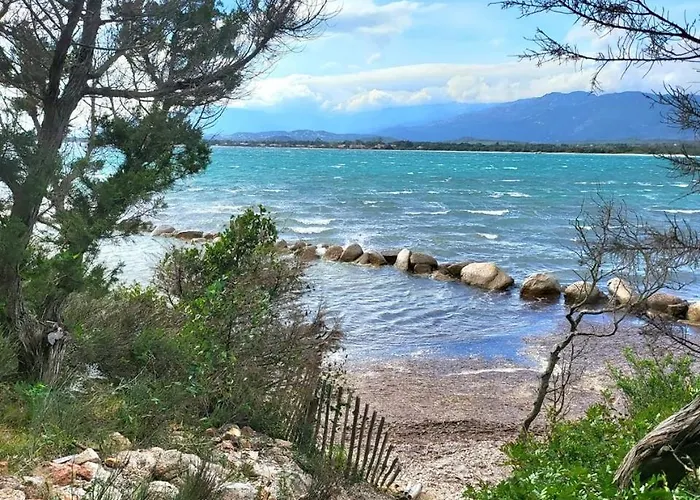 Les Rosiers - Eglantine Conca