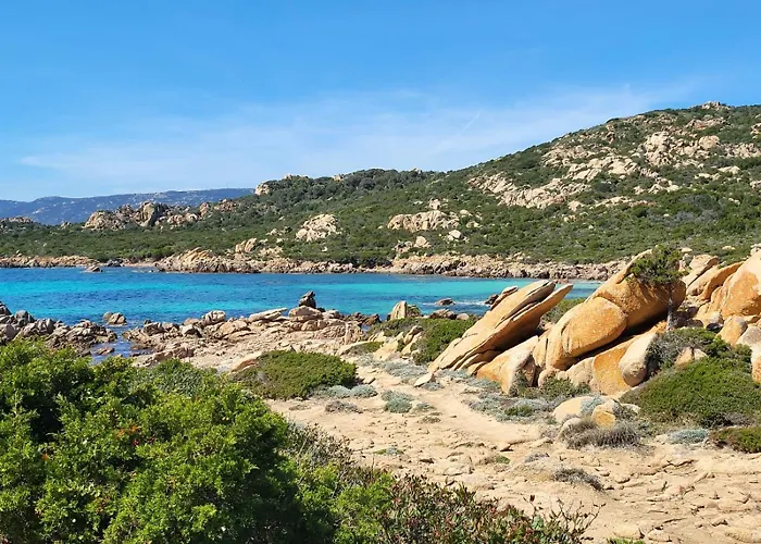 Les Rosiers - Eglantine