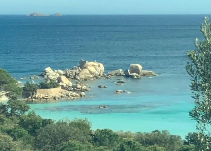 Les Rosiers - Eglantine